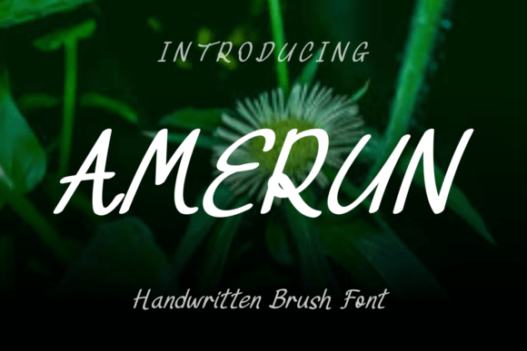 Amerun: The Handwritten Font That Elevates Campaign Clarity
