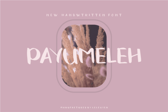 Payumeleh Font: Elevate Your Brand with Handwritten Typography
